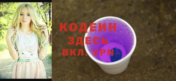 шишки Абаза