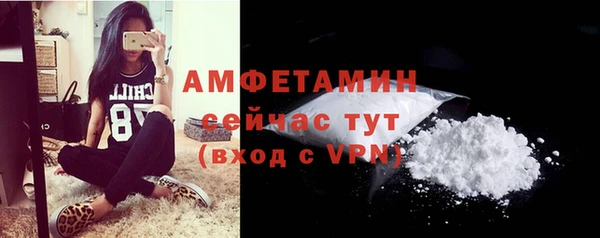 шишки Абаза