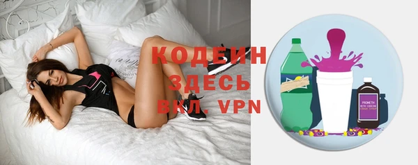 шишки Абаза