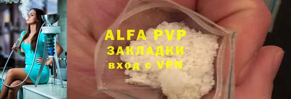 шишки Абаза