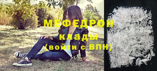 шишки Абаза