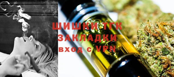 СК Абинск