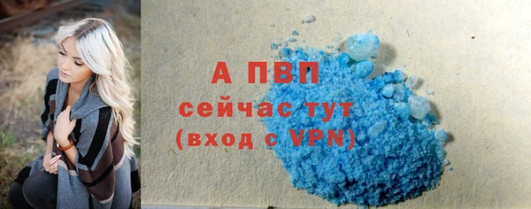 шишки Абаза