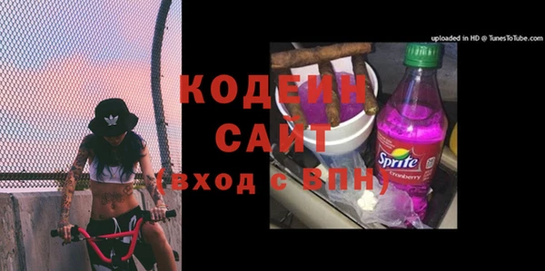 шишки Абаза