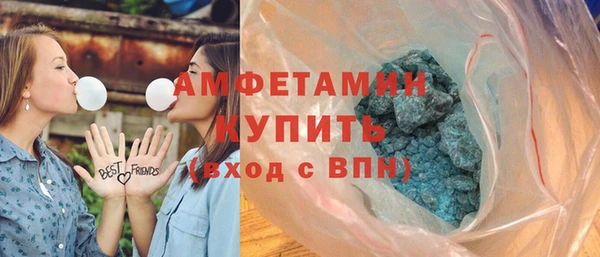 шишки Абаза
