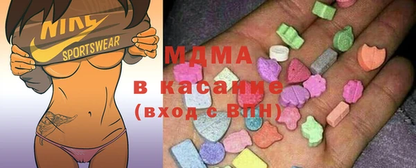шишки Абаза