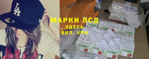 шишки Абаза